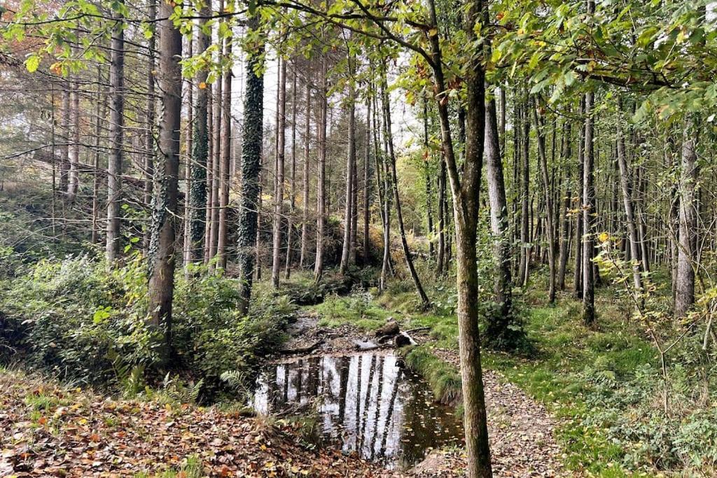 Forest Retreat- Serene 160M2 With Forest Views Wermelskirchen Buitenkant foto