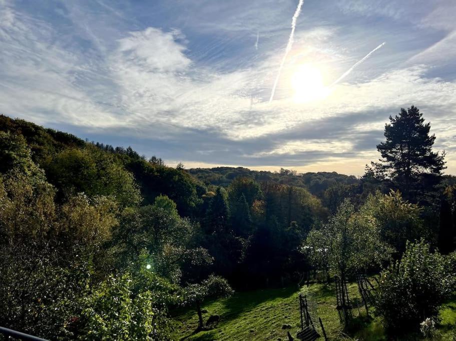 Forest Retreat- Serene 160M2 With Forest Views Wermelskirchen Buitenkant foto