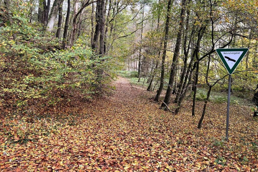 Forest Retreat- Serene 160M2 With Forest Views Wermelskirchen Buitenkant foto